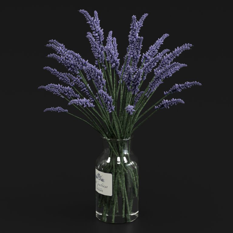 Букет лаванди (113383), 3d модель 1