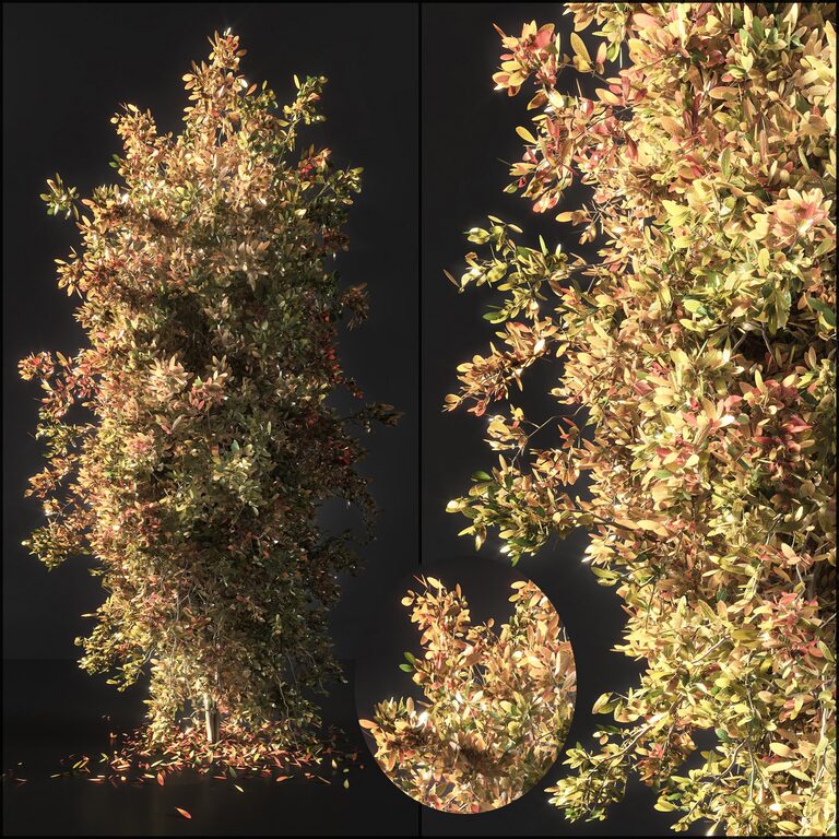 Autumn tree 002 (107230), 3d model 1