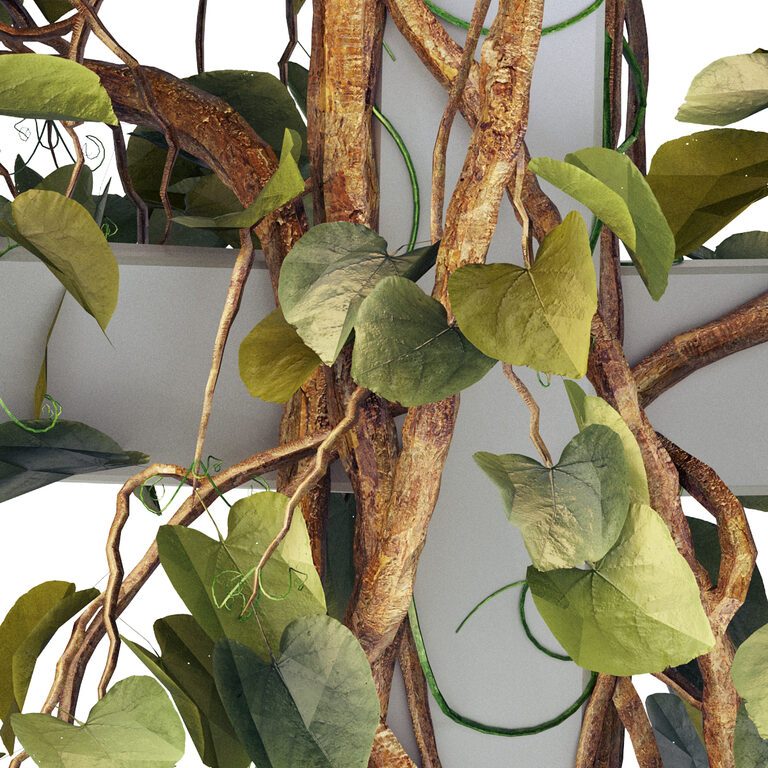Modular Tree Plant Trellis Growing modular trellising hardware for plants (108060) 3D ...