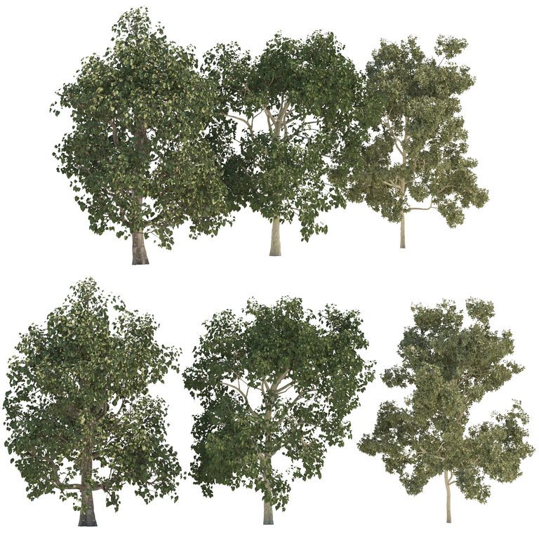 Three Trees (108962) 3D model - Download 3D model Three Trees (108962 ...