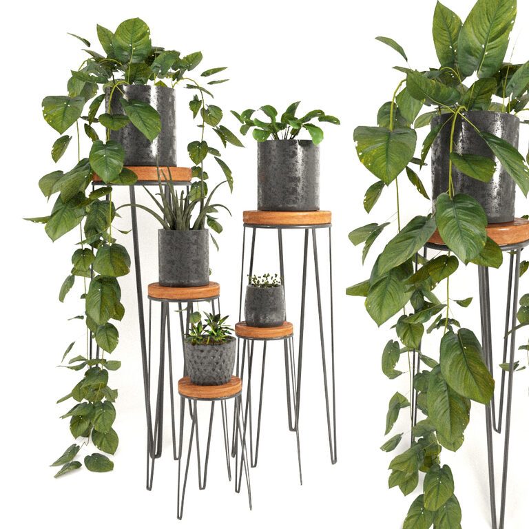 Potted plants 3 (125762), 3d model 1