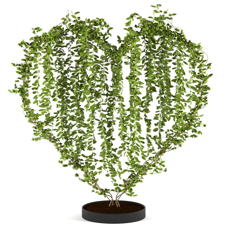 Plants collection 11 (139478), 3d model 1