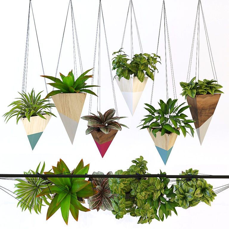 Hanging Plants (22704), 3d model 1