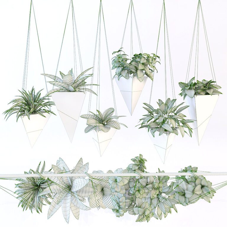 Hanging Plants (22704) 3D model - Download 3D model Hanging Plants (22704)  | 22704 | 3d-baza.com