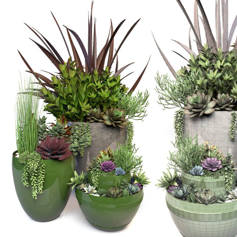 Potted Plants (24772), 3d model 1