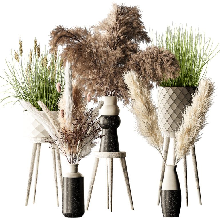 Plants Bouquet Pampase Indoor (301460) 3D model - Download 3D model ...