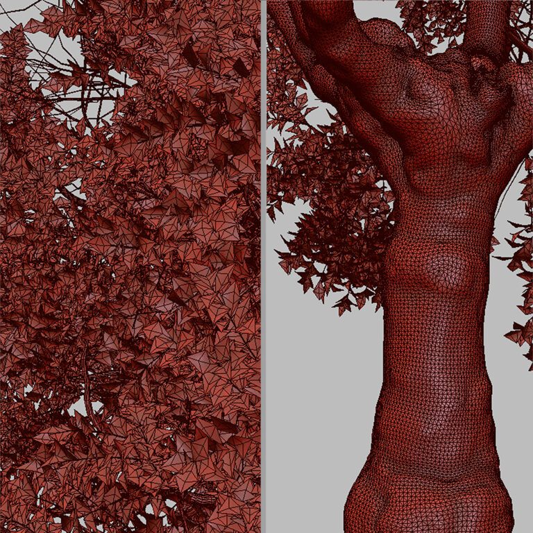 Set of Apricot Tree (Armenian plum) (2 Trees) (317147) 3D model ...