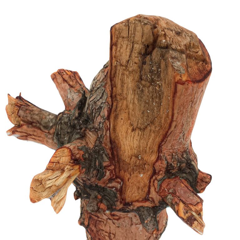 Trunk Ecomorph Color Trunk 54 (319234) 3D model - Download 3D model Trunk 54 (319234 ...