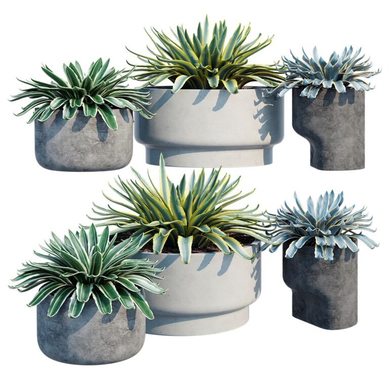 Agave Plants (327796), 3d model 1
