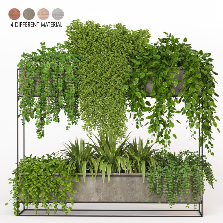 Indoor Hanging Plants - Set 02 (329175) 3D model - Download 3D model Indoor Hanging  Plants - Set 02 (329175) | 329175 | 3d-baza.com