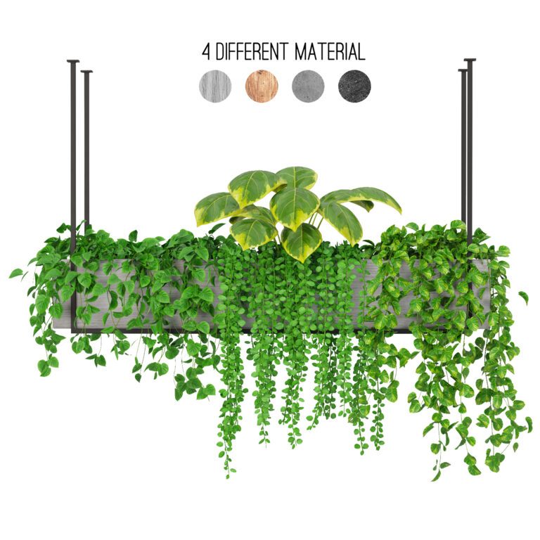 Indoor Hanging Plants - Set 06 (329605) 3D model - Download 3D model Indoor  Hanging Plants - Set 06 (329605) | 329605 | 3d-baza.com