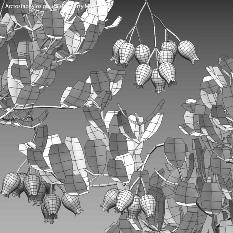 3dtree Portfolio of 3d models from 3DTree | 3d-baza.com