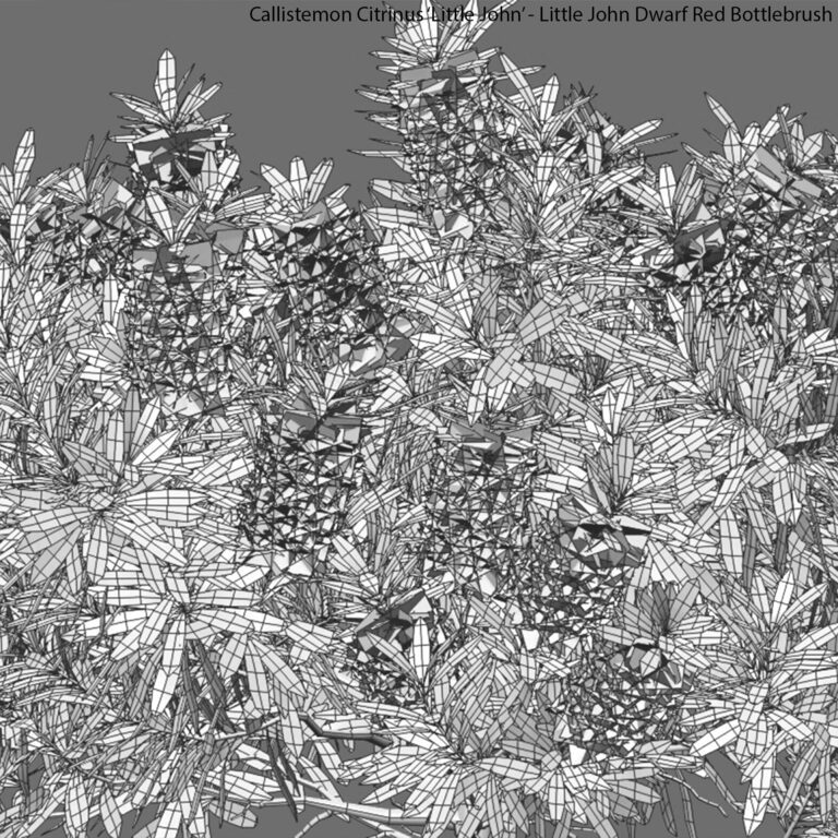 3dtree Portfolio of 3d models from 3DTree | 3d-baza.com