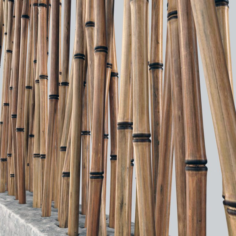 Bamboo low decor n5 (329892) 3D model - Download 3D model Bamboo low ...