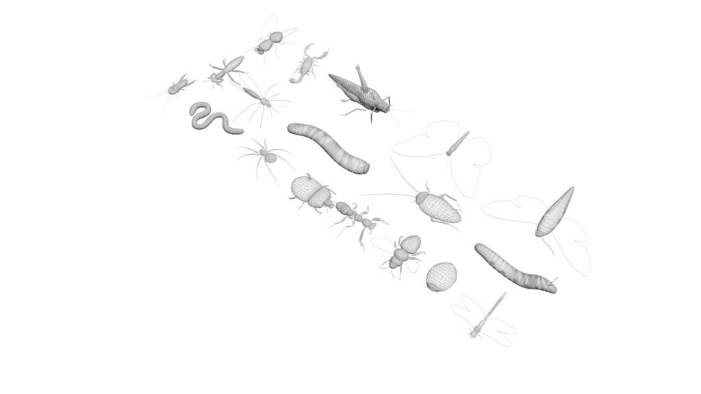 Other Insects 3d Models Download 3d Models 3d Baza