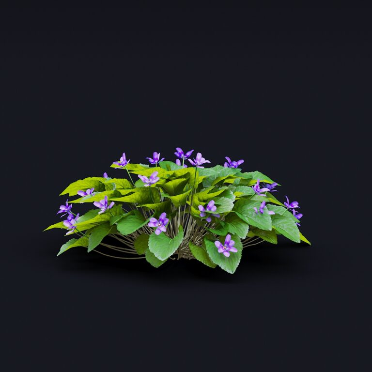 Violet fragrant bushes | Viola odorta (339035) 3D model - Download 3D ...