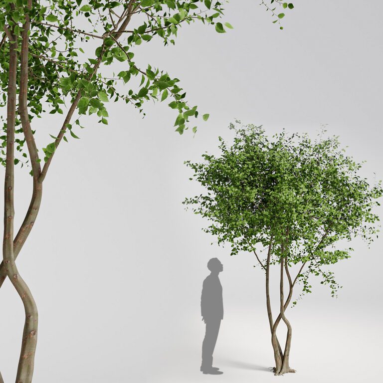 World Tree Model Trees set 001 (341569) 3D model - Download 3D model Trees set 001 ...