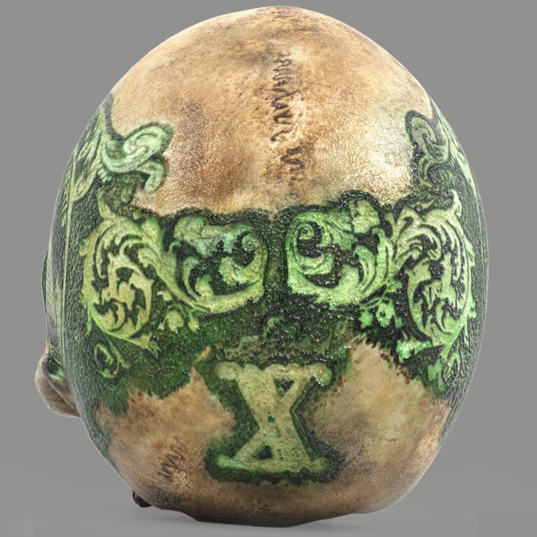 Skull head (344433) 3D model - Download 3D model Skull head (344433