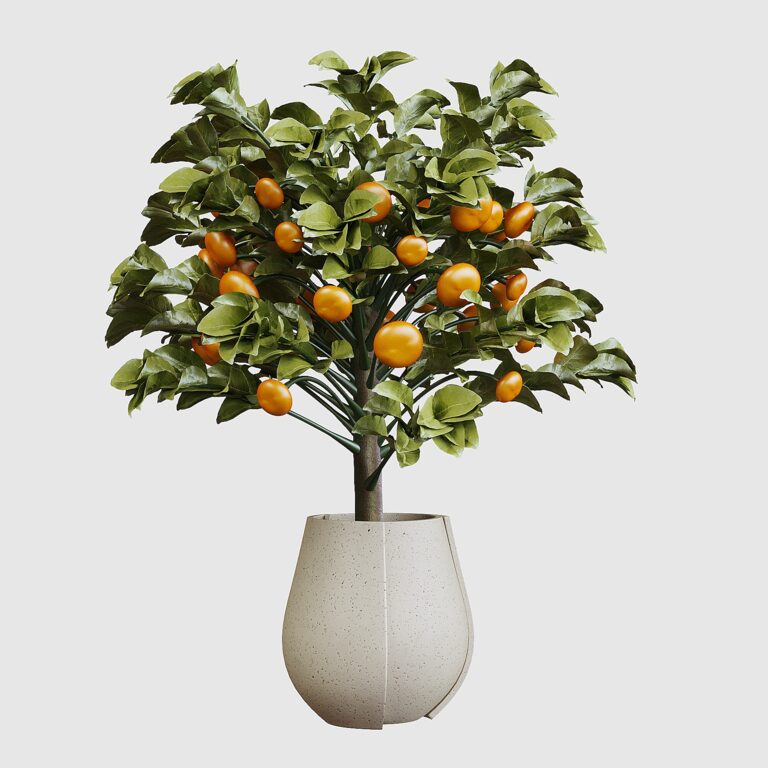 Apelsin bushes (344760) 3D model - Download 3D model Apelsin bushes ...