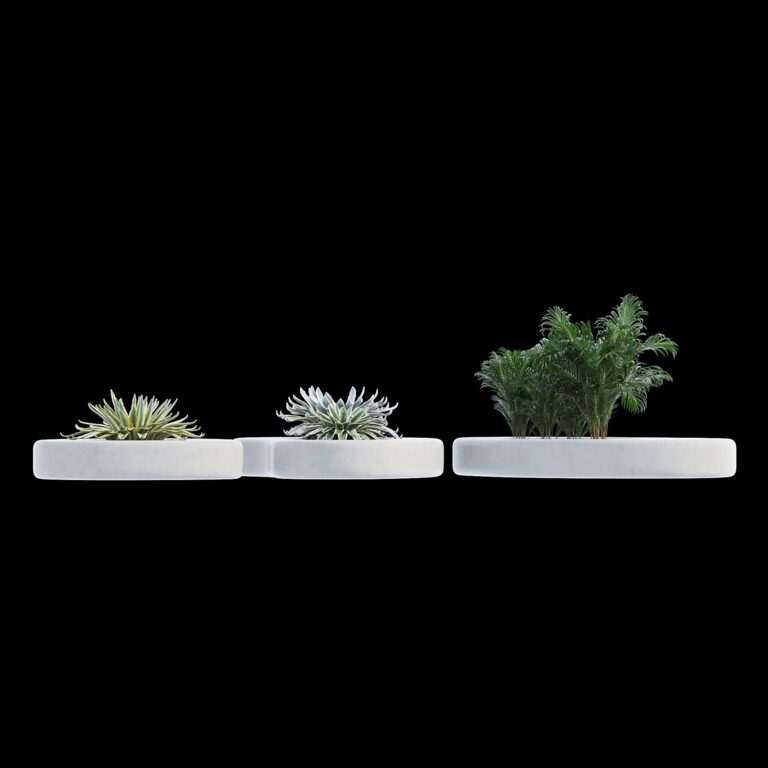 Cell forms (345989) 3D model - Download 3D model Cell forms (345989 ...