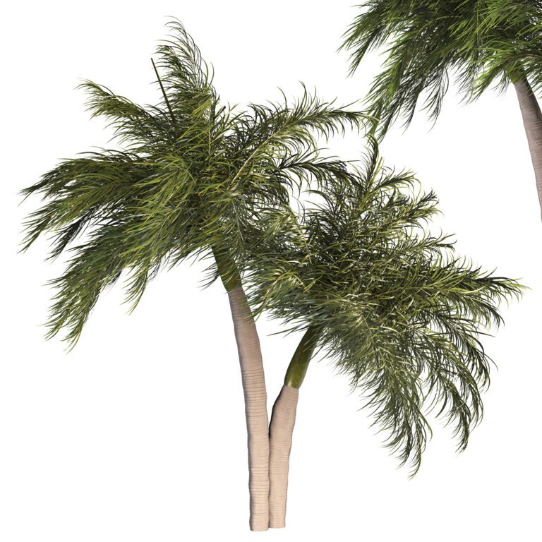 Palm Tree Set 02 (347370), 3d model 1