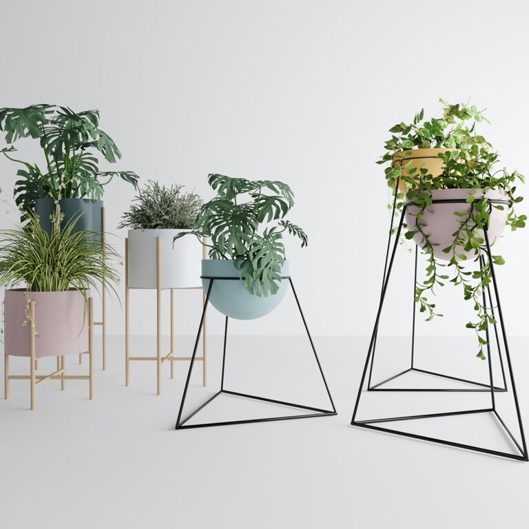 Plants Pot Interior Plants & Flowers (350424), 3d model 1