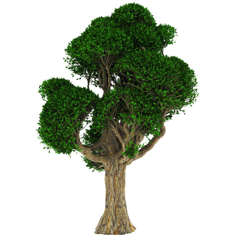 Tree 02 (351593) 3D model - Download 3D model Tree 02 (351593) | 351593 ...
