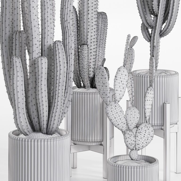 Cactus set (354367) 3D model - Download 3D model Cactus set (354367) |  354367 | 3d-baza.com