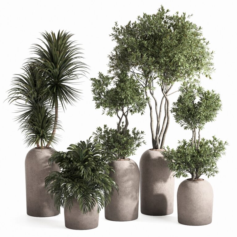 Indoor Plant Set (354380), 3d model 1