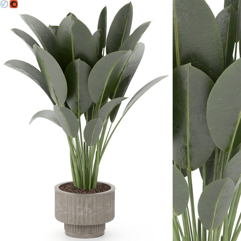 Indoor plant (354483), 3d model 1