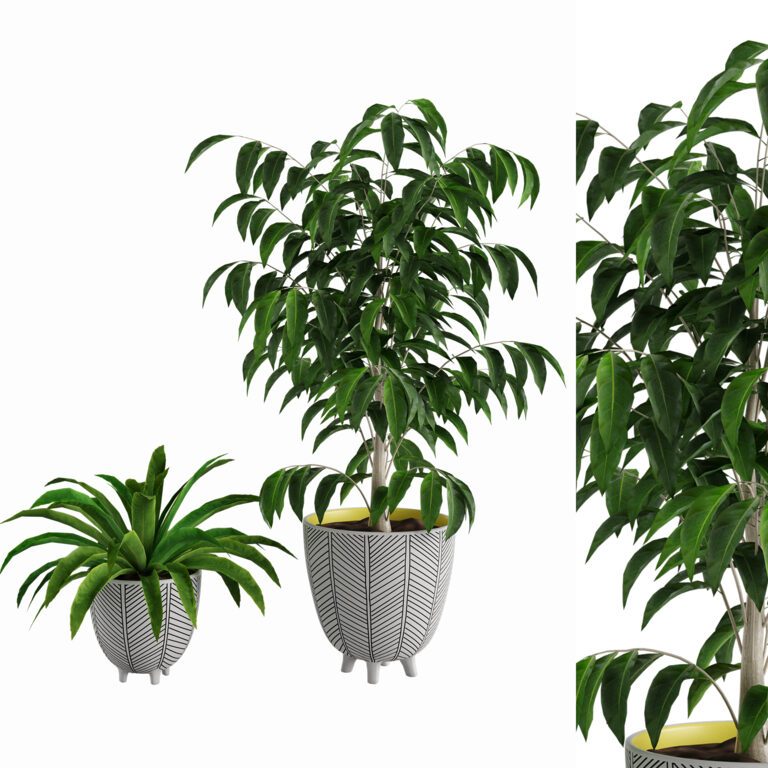 Ficus і Yucca пальмові рослини в ручному розфарбовуванні Herringbone kashpo (355542), 3d модель 1