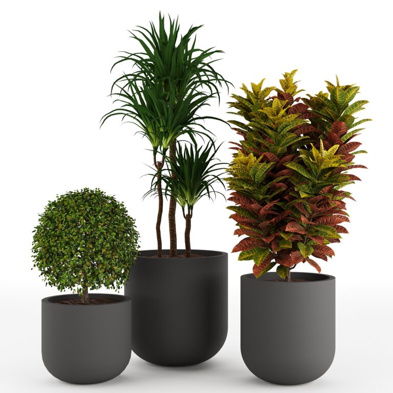 Set 3 Indoor Planters 02 (355999) 3D model - Download 3D model Set 3 ...