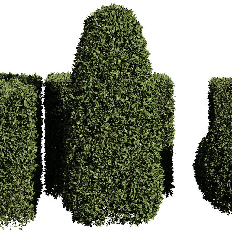 Rectangular Boxwood Boxwood Hedge (358299) 3D model - Download 3D model Boxwood Hedge ...