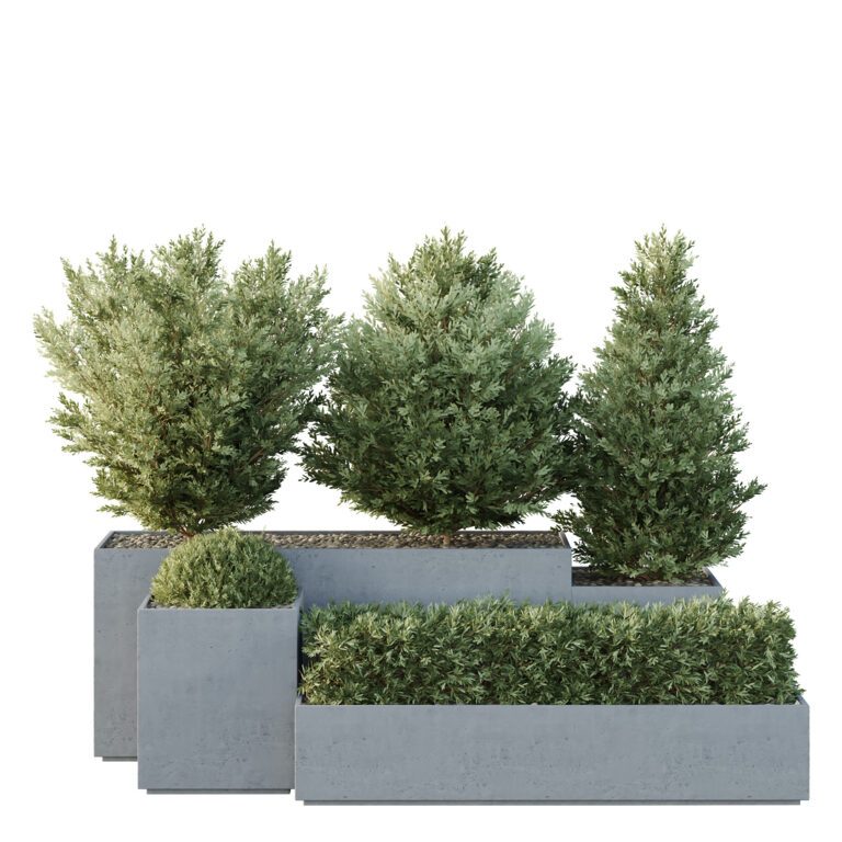 Box Bush Three HQ Tree and bush garden box outdoor VOL 27 (361553) 3D model - Download ...