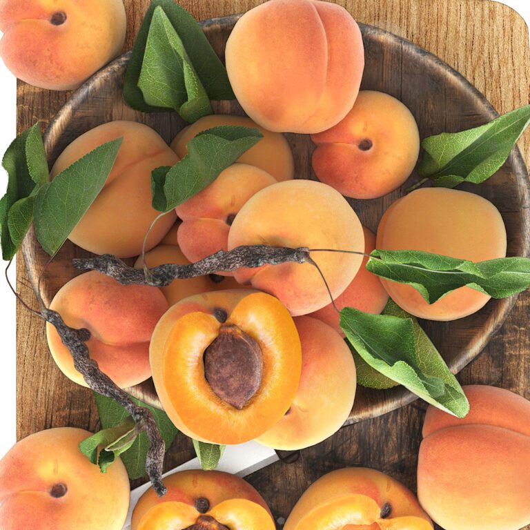 Bowl of apricots (361671) 3D model - Download 3D model Bowl of apricots ...