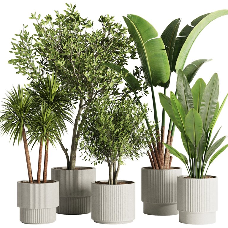 bubble planter Modernized Pottery Hanging TRIPLE BUBBLE Wall Planter main image 0