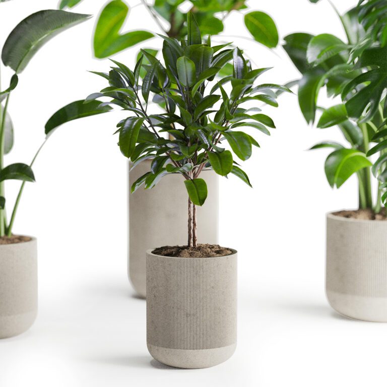 Portfolio of 3d models from samane | 3d-baza.com