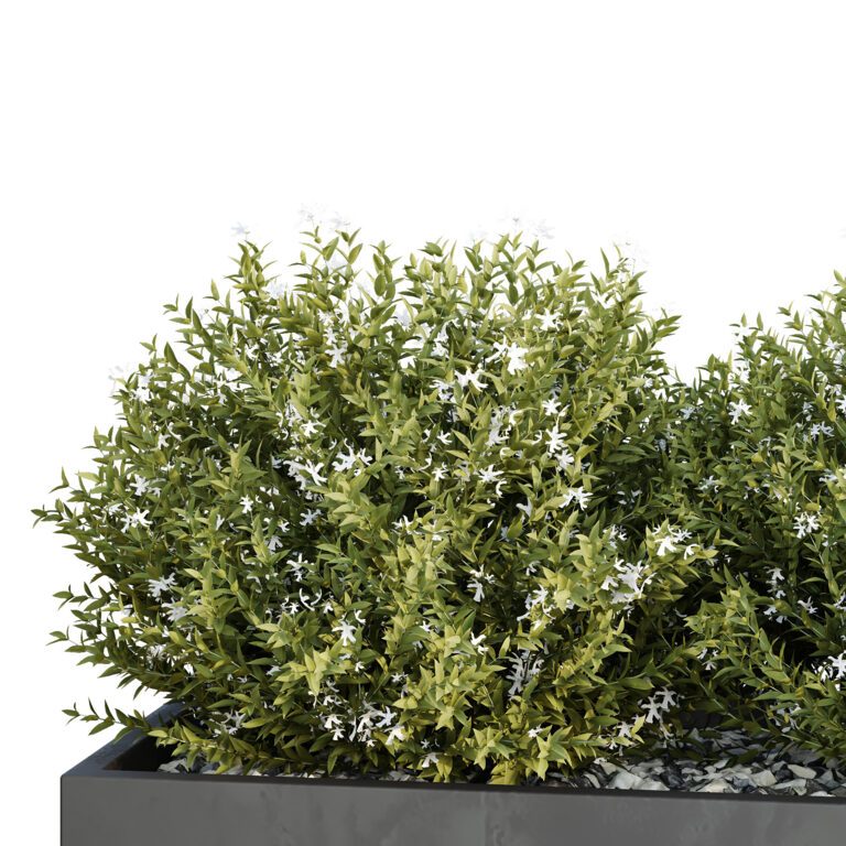 Box Bush Three HQ Tree and bush garden box outdoor VOL 46 (363952) 3D model - Download ...