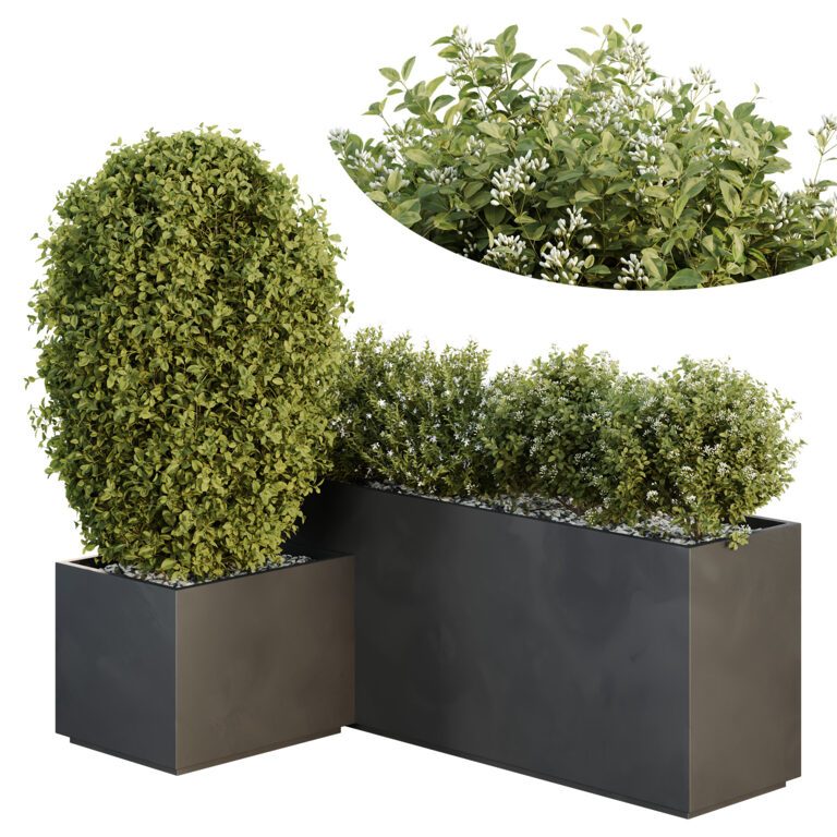 Box Bush Three HQ Tree and bush garden box outdoor VOL 46 (363952) 3D model - Download ...