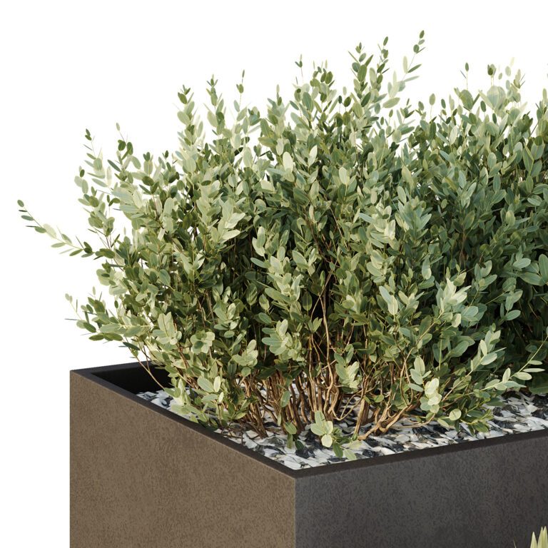 HQ Tree and bush garden box outdoor VOL 55 (364761) 3D model - Download ...