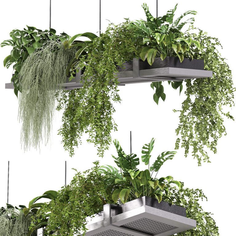 Hanging indoor Plants 03 (365057) 3D model - Download 3D model Hanging  indoor Plants 03 (365057) | 365057 | 3d-baza.com