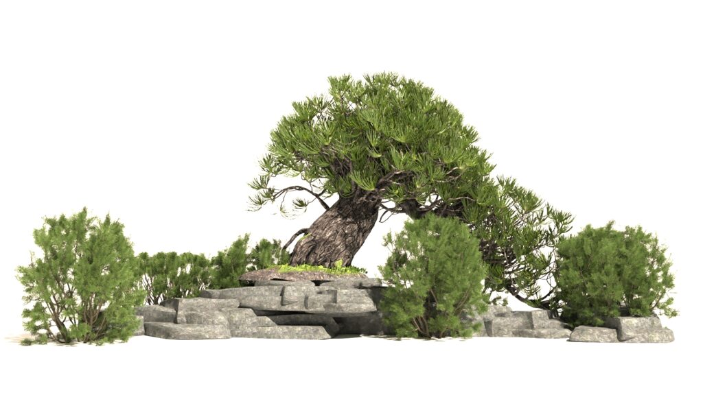 Landscape Japaniese (365668), 3d model 1