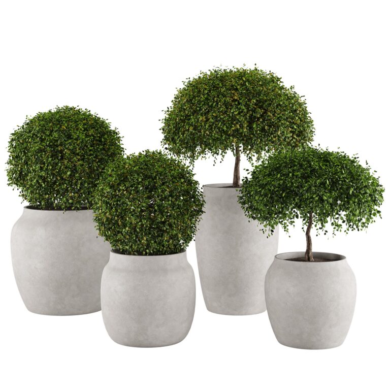 Set 4 Aglaia odorata planters (365734), 3d model 1
