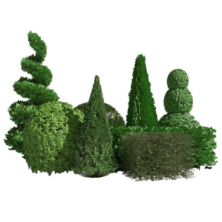 Suffruticosa Boxhit Колекція для 3D Landscape (366292), 3d модель 1