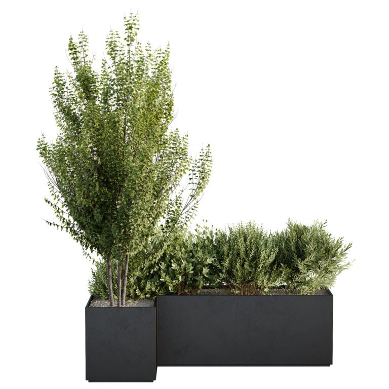 HQ Tree and bush garden box outdoor VOL 57 (367472) 3D model - Download ...