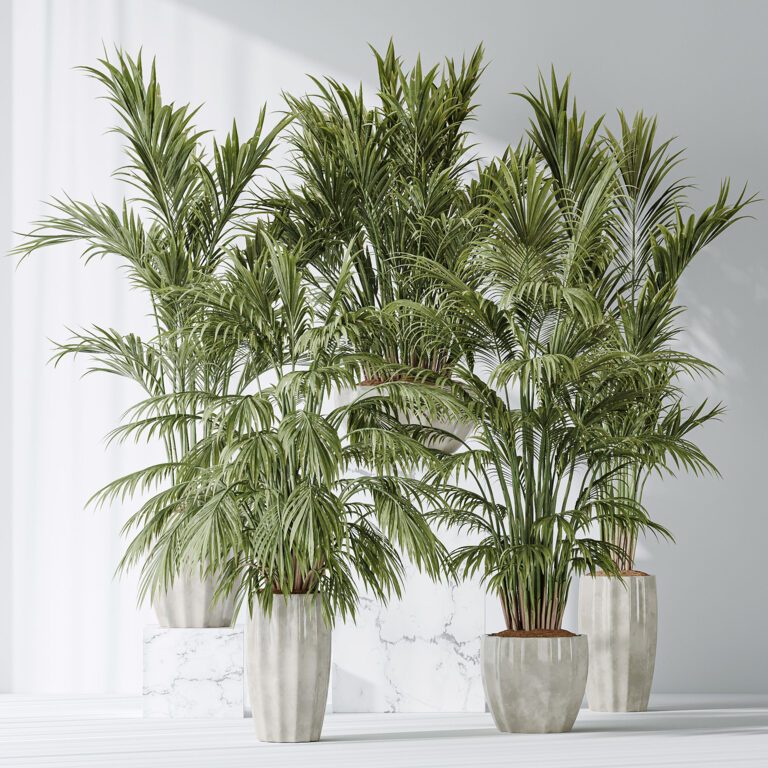 Areca Majesty Cat Reed Palm vases (368477) 3D model - Download 3D model ...