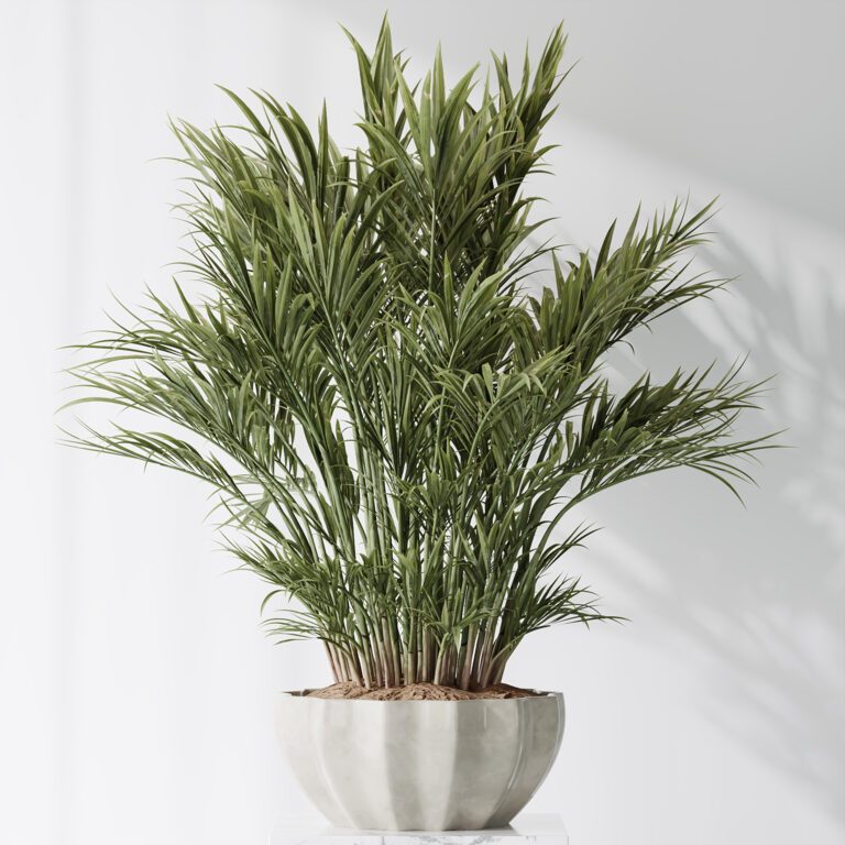 Areca Majesty Cat Reed Palm vases (368477) 3D model - Download 3D model ...