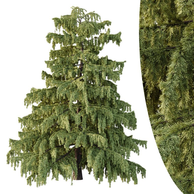 Cedrus deodara tree 01 (371945) 3D model - Download 3D model Cedrus ...