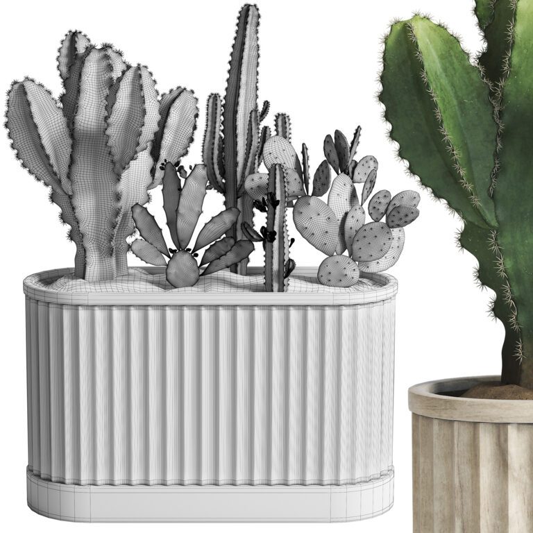 Cactus Set 02 (372415) 3D model - Download 3D model Cactus Set 02 ...