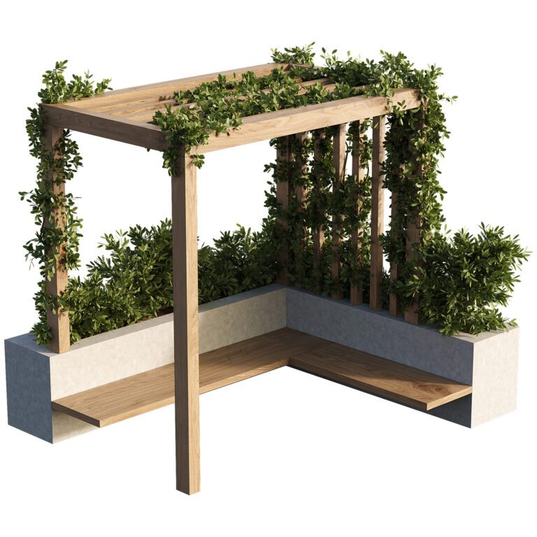 olivenbaum indoor halten Olivenbaum (Olea europaea) – 60–90 cm